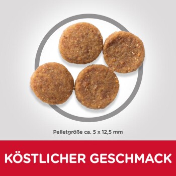 Sensitive Stomach & Skin 14 kg
