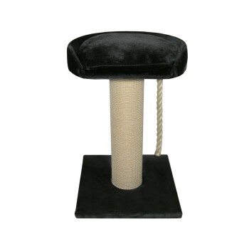 CAT-GATO Kratzbaum Vaduz XXL