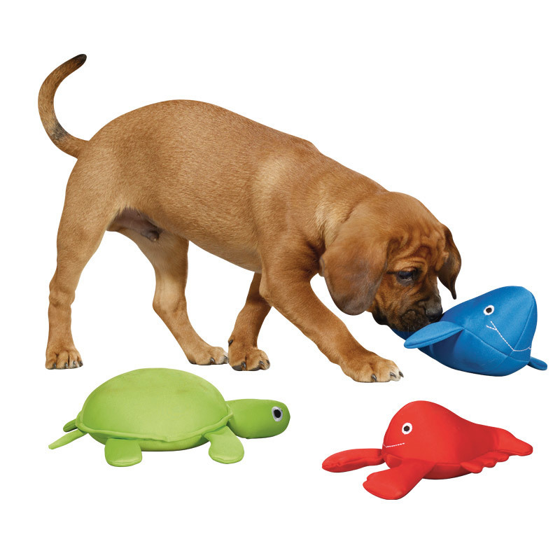 Hundespielzeug Aqua