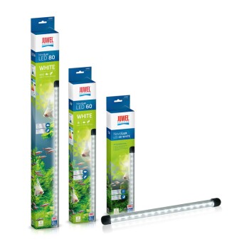 NovoLux LED 80 White