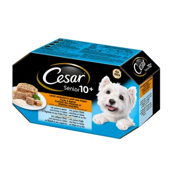 1272099-Vital10+-Senior-Multipack-Cesar.jpg