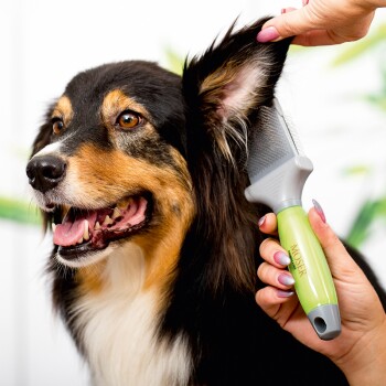 Flexible Zupfbürste - zweiseitig