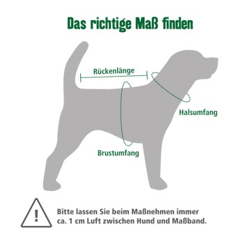 800x800Hundemaße.jpg