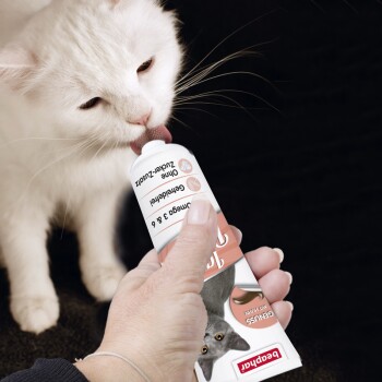 Beaphar Pate D Huile De Saumon Pour Chat 100 G Maxi Zoo Beaphar Pate D Huile De Saumon Pour Chat 100 G Maxi Zoo