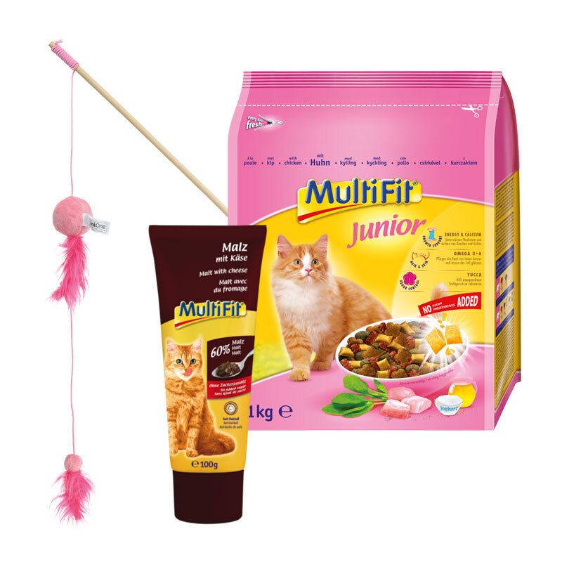 Trockenfutter-Starterpaket für Kitten 5-teilig