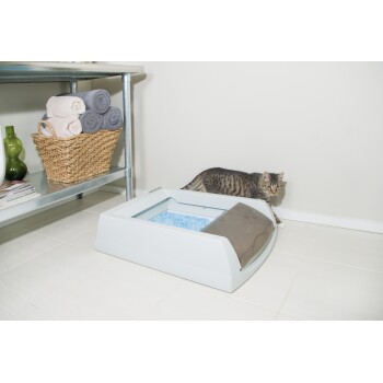 Pet Safe Scoop Free Toilette Original