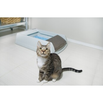 Pet Safe Scoop Free Toilette Original
