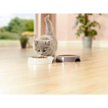 Pepe&Kitty Keramikteller Weiß