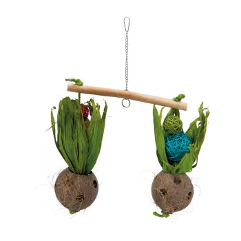 Wippe mit Kokosnüssen