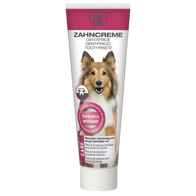 TAKE CARE Zahncreme 100ml