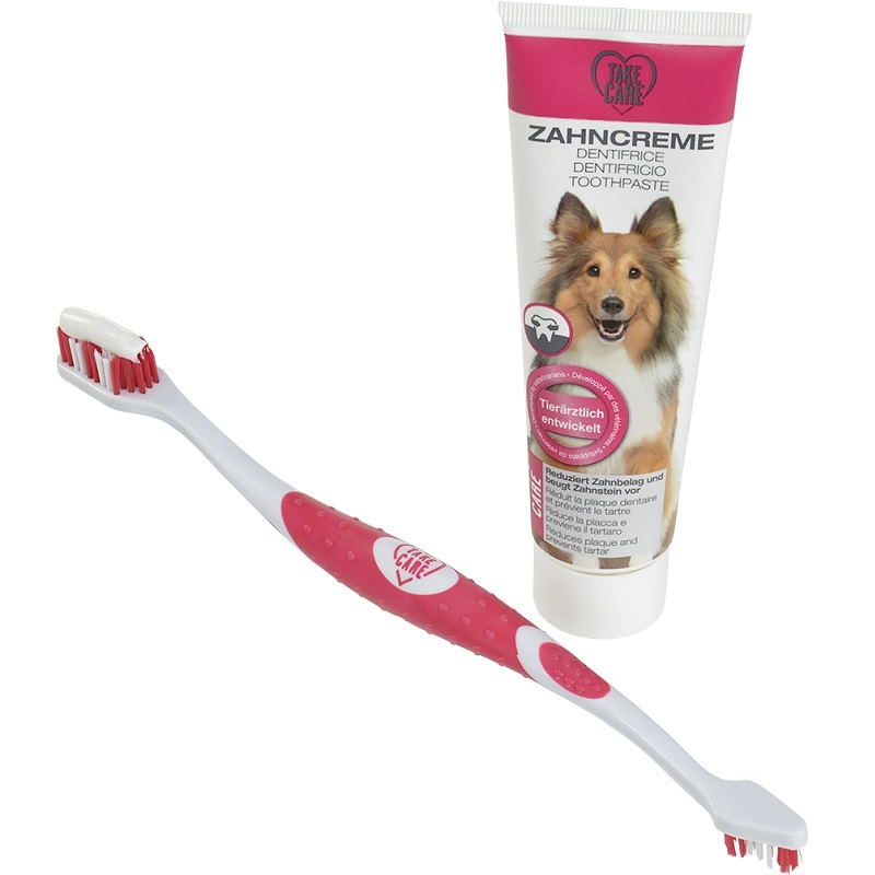 Hygiène dentaire du chien  MAXI ZOO