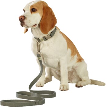 Führleine verstellbar Grau