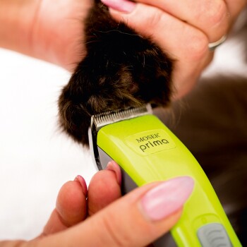 Moser Tondeuse Pour Animaux Prima Maxi Zoo