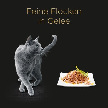 Delikatesse in gelatina 60x85 g Varietà di pesce