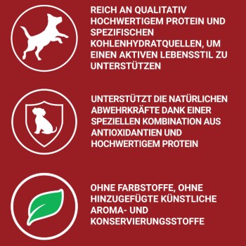 Mini Adult Huhn & Reis 800g