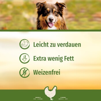 Chicken Wrapped Chews 5 Stück