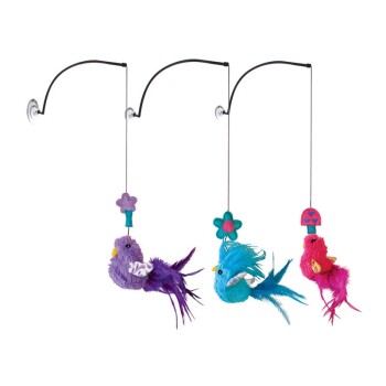 Connects Window Teaser