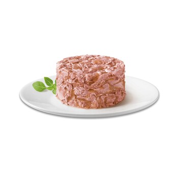 Gold Straccetti raffinati 12x85 g Salmone