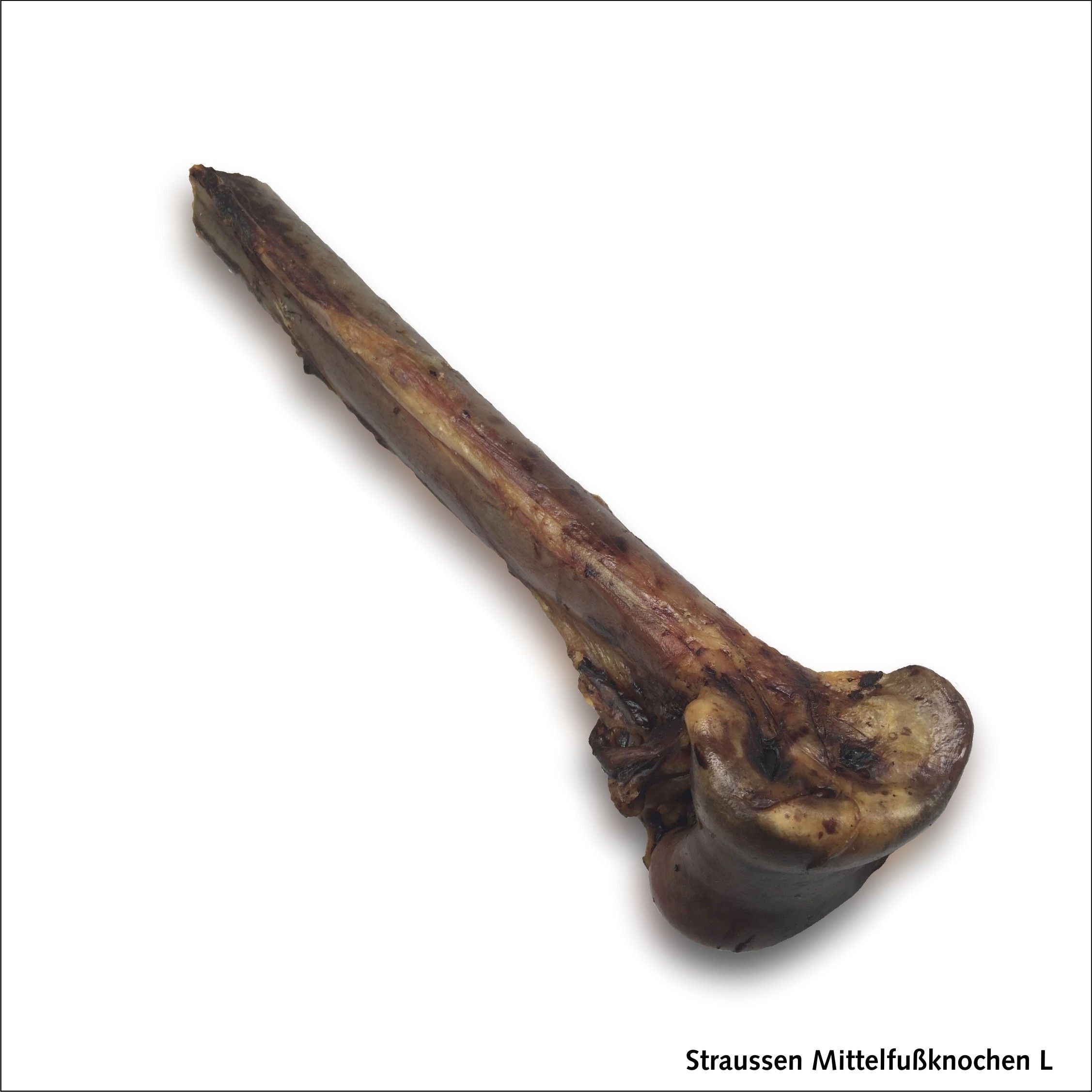 SavannaPet Straussen Mittelfußknochen 2 Stück groß (Größe L)