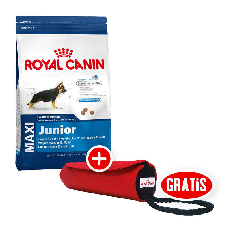 Royal Canin Size Health Nutrition Maxi Junior 4kg + gratis Apportierbeutel