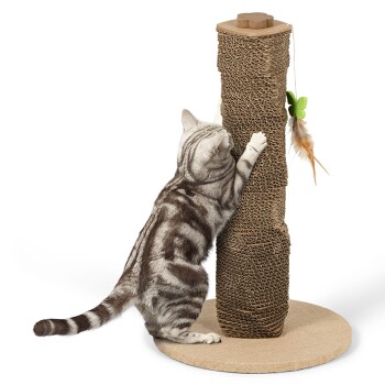 Kratzpappe Papercat Spiral