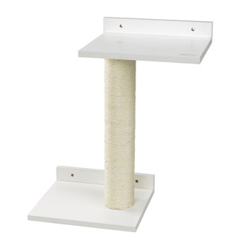 Wandkratzstamm Climb & Connect