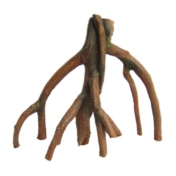 Mangrovenwurzel klein