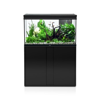 Elegance Expert 100 Aquarienkombination schwarz 