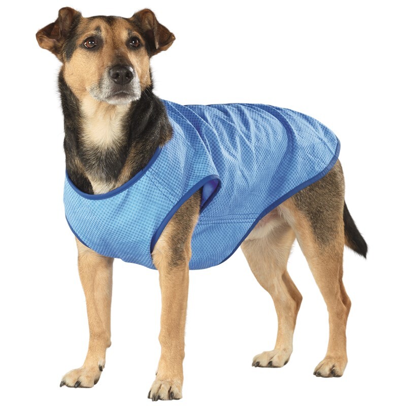 outback jack dog jacket