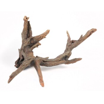 Aquariendeko Stamm 46,5cm