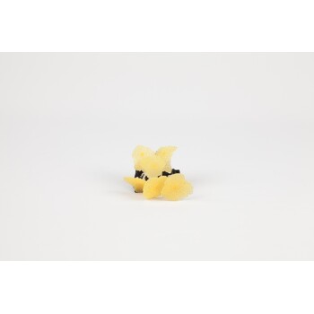 Aquariendeko Aqua Glow Pilze Orange