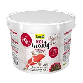 KOI Beauty 4 litres 4 mm Small