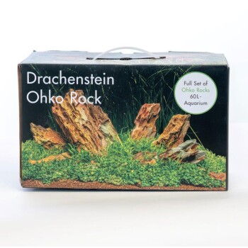 Deko-Set Drachenstein für 60 Liter Aquarien