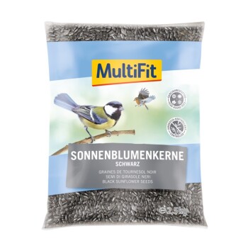 Sonnenblumenkerne Schwarz