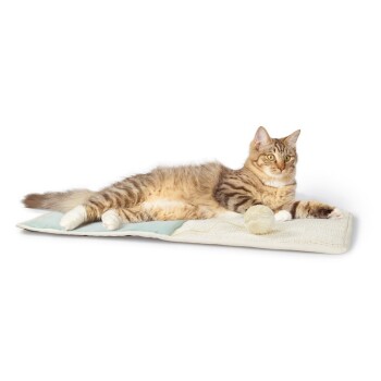 Tapis Griffoir Pour Chat Turquoise Dans La Boutique En Ligne Maxi Zoo