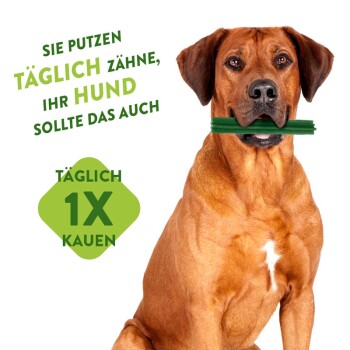 Zahnpflegesnacks Veggie Sausage Klein 24+4 Stück