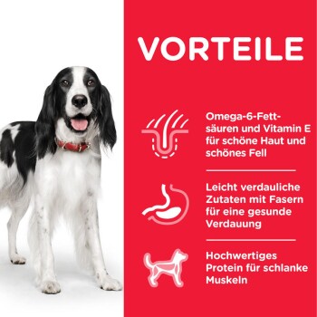 Science Plan Medium Adult 1-6 Huhn 14kg