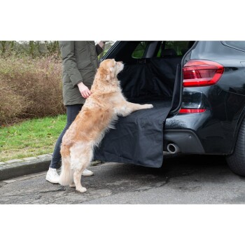 Autoschondecke Kofferraum