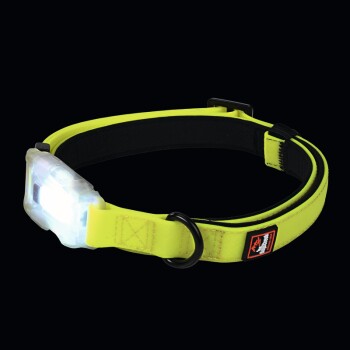 Leuchthalsband Polar M
