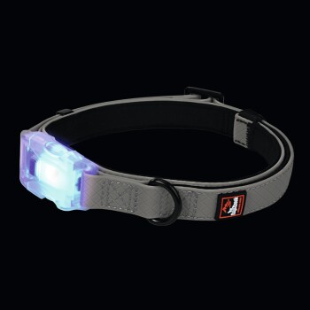 Leuchthalsband Polar Light L