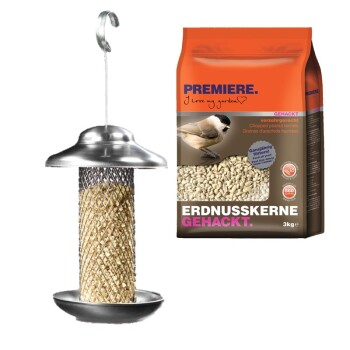 Futtersäule mit Premiere Erdnusskerne
