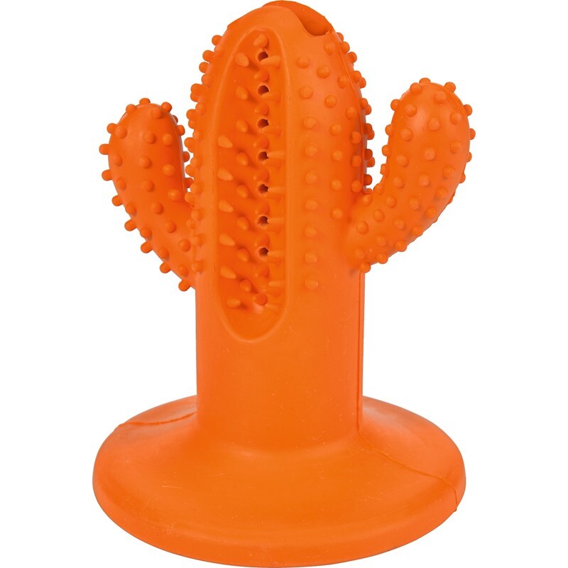Zahnpflege-Spielzeug Kaktus S
