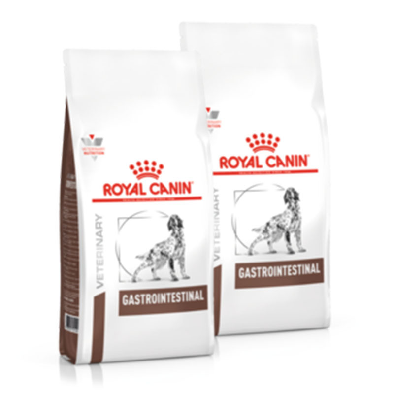 Royal Canin Veterinary Diet Gastro Intestinal 2x15kg