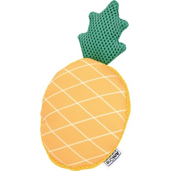 Wasserspielzeug Ananas