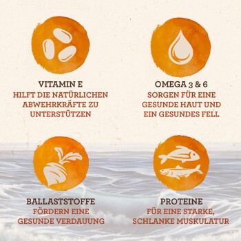 Naturally Adult 12x85g Sea Collection