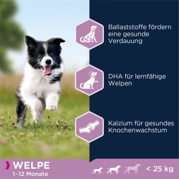 Puppy Small & Medium Breed Lamm & Reis 12kg 12kg