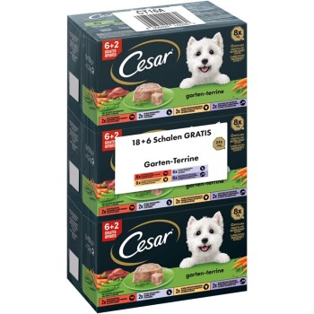 Multipack 4 Varietäten 24x150g 18+6 Garten-Terrine