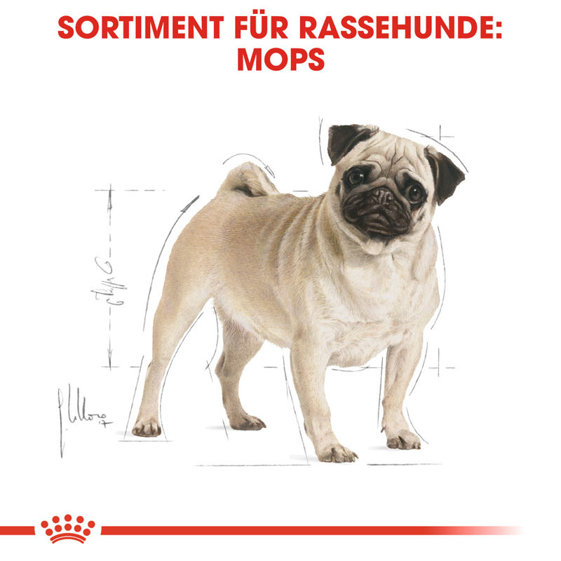 royal canin mops junior