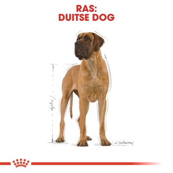 Duitse dog Adult 12 kg