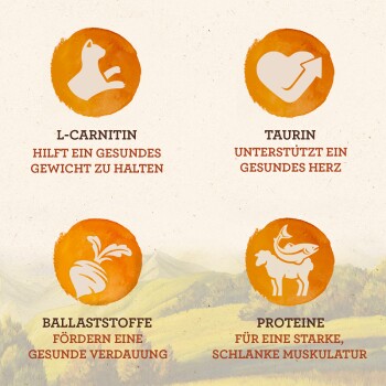 Naturally Senior Land & Sea Collection 12x85g